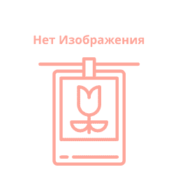 Лучшие мечты